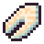 Shark Steak