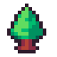 Search Pine Woods