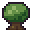 Ashwood Tree