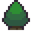 Cedar Tree
