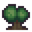 Elm Tree