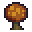 Ironwood Tree
