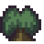 Maple Tree