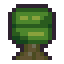 Oak Tree