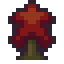 Starbark Tree